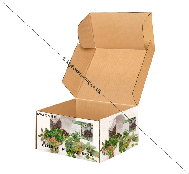 Edible Plants Boxes